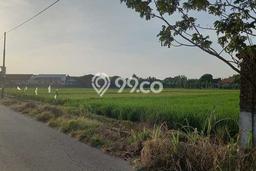 Lahan Dijual Lokasi Gatak, Sukoharjo dengan Luas Tanah 2167m2 dan Status SHM Lahan Dijual Lokasi Gatak, Sukoharjo dengan Luas Tanah 2167m2 dan Status SHM