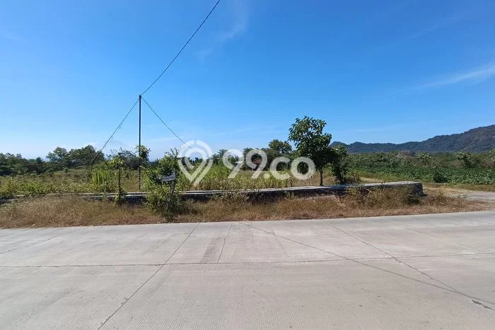 Tanah Dijual Lokasi Selogiri, Wonogiri dengan Luas Tanah 14358m2 dan Status SHM Tanah Dijual Lokasi Selogiri, Wonogiri dengan Luas Tanah 14358m2 dan Status SHM