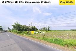 Jarang Ada! Tanah di Sidoharjo Punya Luas 3750m2 - Jarang Ada! Tanah di Sidoharjo Punya Luas 3750m2 -