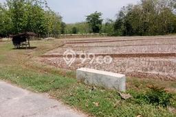 Lahan Kosong Dijual di Selogiri, Wonogiri, Luas 4413m2 Area Strategis Lahan Kosong Dijual di Selogiri, Wonogiri, Luas 4413m2 Area Strategis