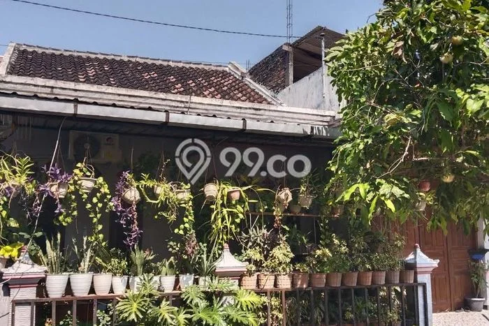 Jual Rumah Murah di Sukoharjo Sukoharjo Harga Rp 350 Juta LT 125m2 Jual Rumah Murah di Sukoharjo Sukoharjo Harga Rp 350 Juta LT 125m2