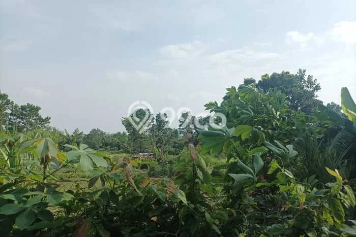Tanah Komersial Dijual di Jambe Tangerang 11000m2 Tanah Komersial Dijual di Jambe Tangerang 11000m2