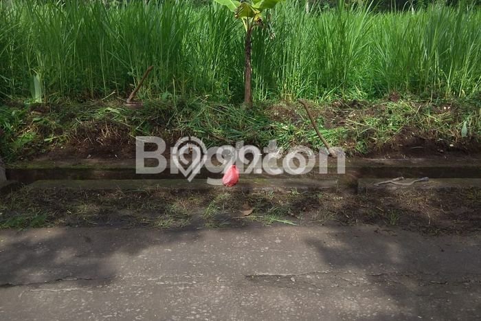 Tanah Strategis di Kedungkandang, Luas 112m2m², Ideal untuk Perumahan Tanah Strategis di Kedungkandang, Luas 112m2m², Ideal untuk Perumahan