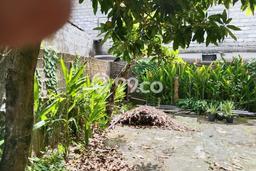 Jual Tanah Area Strategis Kawasan Canggu, Luas 130m², Ideal untuk Investasi Jual Tanah Area Strategis Kawasan Canggu, Luas 130m², Ideal untuk Investasi