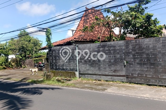 Tanah Kavling untuk Disewa di Ubud Gianyar 600m2 Tanah Kavling untuk Disewa di Ubud Gianyar 600m2
