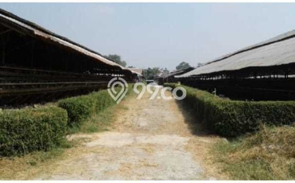 Untuk Dijual Tanah 56000m2 di Cimuning, Bekasi Untuk Dijual Tanah 56000m2 di Cimuning, Bekasi