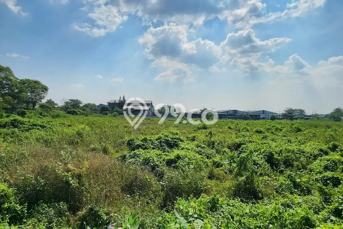 Tanah Dijual Lokasi Palimanan Cirebon - Tanah Dijual Lokasi Palimanan Cirebon -