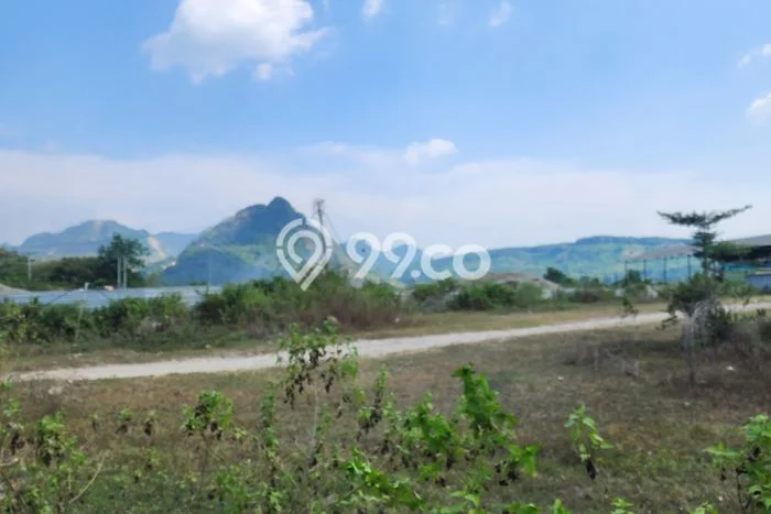 Tanah Dijual Lokasi Palimanan Cirebon - Tanah Dijual Lokasi Palimanan Cirebon -