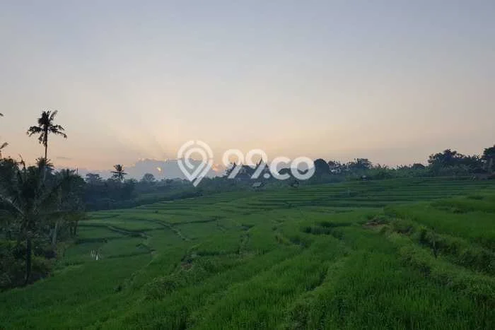NEW LISTING! Rumah Premium di Canggu, Luas 100m2m² Bangunan 65m2m² NEW LISTING! Rumah Premium di Canggu, Luas 100m2m² Bangunan 65m2m²