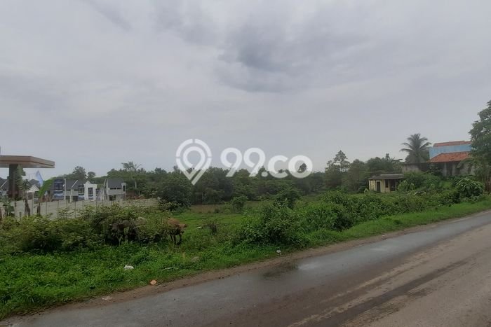 Tanah Area Potensial di Serang, Luas 150000m², Kawasan Asri, Dekat Serang, Serang, Serang Tanah Area Potensial di Serang, Luas 150000m², Kawasan Asri, Dekat Serang, Serang, Serang