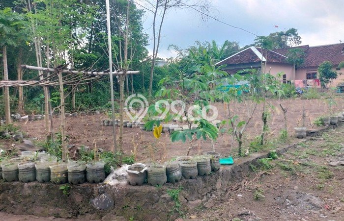 Lahan Investasi Lokasi Ngaglik Sleman SHM Lahan Investasi Lokasi Ngaglik Sleman SHM