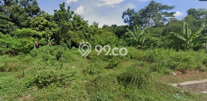 Tanah untuk Dijual di Kalasan Sleman Luas 2450m2 Tanah untuk Dijual di Kalasan Sleman Luas 2450m2