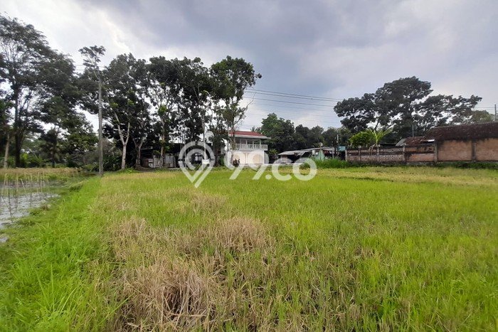 Tanah Strategis Dijual di Sleman Sleman 2928m2 Tanah Strategis Dijual di Sleman Sleman 2928m2