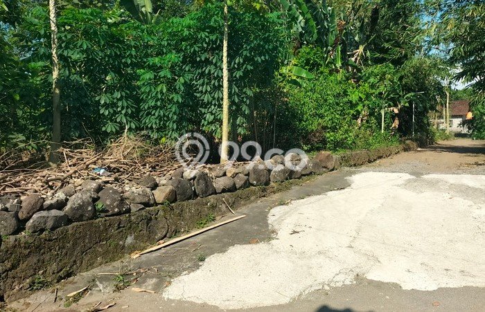 Lahan Investasi Lokasi Ngaglik Sleman SHM Lahan Investasi Lokasi Ngaglik Sleman SHM