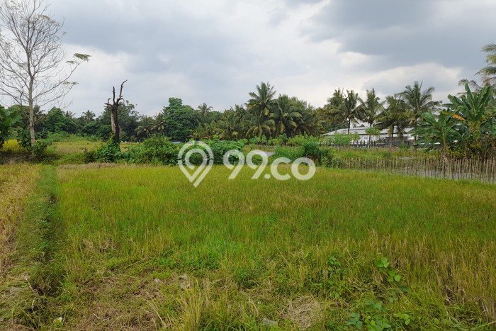 Tanah Strategis Dijual di Sleman Sleman 2928m2 Tanah Strategis Dijual di Sleman Sleman 2928m2