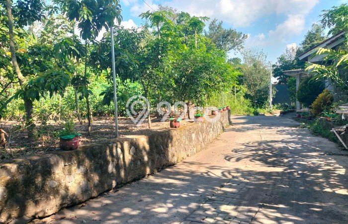 Lahan Investasi Lokasi Ngaglik Sleman SHM Lahan Investasi Lokasi Ngaglik Sleman SHM