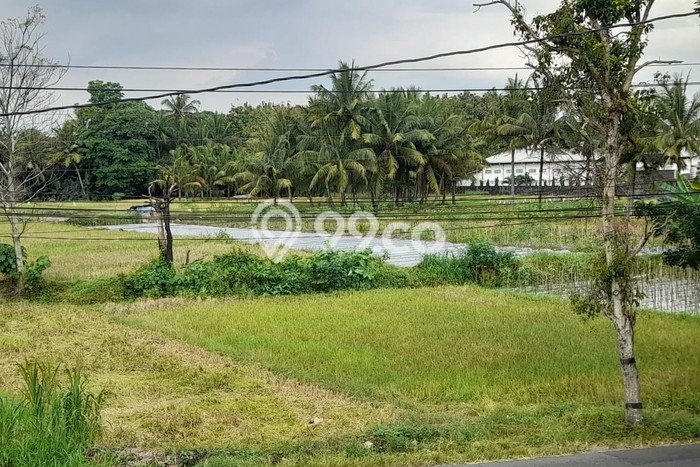 Tanah Strategis Dijual di Sleman Sleman 2928m2 Tanah Strategis Dijual di Sleman Sleman 2928m2