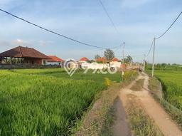 Untuk Dijual Tanah di Mengwi Badung Luas 200m2 SHM Untuk Dijual Tanah di Mengwi Badung Luas 200m2 SHM