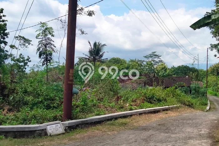 Tanah Strategis Dijual di Sedayu Bantul 154m2 Tanah Strategis Dijual di Sedayu Bantul 154m2