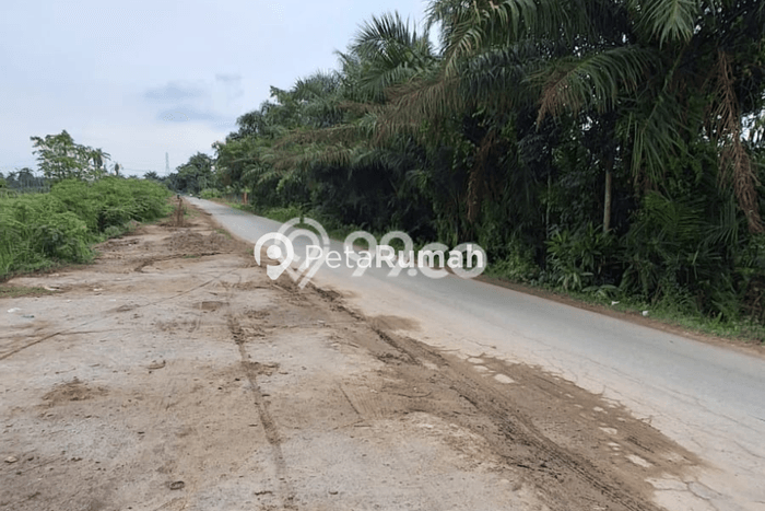 Dijual Tanah Lokasi Strategis Kawasan Percut Sei Tuan, Luas 19800m², Akses Percut Sei Tuan, Deli Serdang, Deli Serdang Dijual Tanah Lokasi Strategis Kawasan Percut Sei Tuan, Luas 19800m², Akses Percut Sei Tuan, Deli Serdang, Deli Serdang