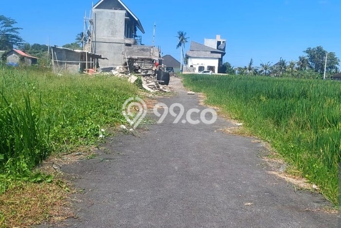 Dijual Tanah Lokasi Kedungu, Tabanan Seluas 376m2 Dijual Tanah Lokasi Kedungu, Tabanan Seluas 376m2