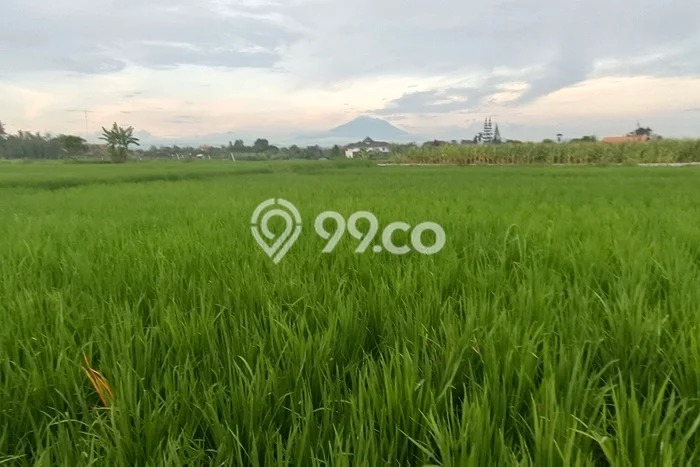 Dijual Tanah Area Berkembang di , Luas 200m2m², Area Asri Dijual Tanah Area Berkembang di , Luas 200m2m², Area Asri