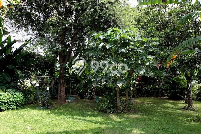 Hunian Luxury di Gianyar Lokasi Strategis Kondisi Baik Hunian Luxury di Gianyar Lokasi Strategis Kondisi Baik