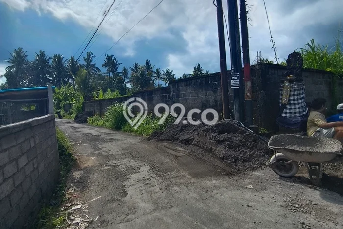For Sale Tanah di Petulu, Luas 800m², Dekat Petulu, Gianyar, Gianyar For Sale Tanah di Petulu, Luas 800m², Dekat Petulu, Gianyar, Gianyar