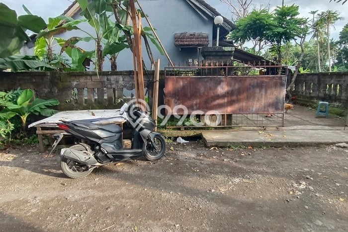 Hunian Nyaman Asri 8 KT Siap Pakai di Buruan Gianyar Hunian Nyaman Asri 8 KT Siap Pakai di Buruan Gianyar