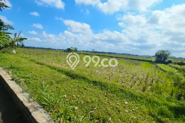 Dijual Tanah 1000m2 di Sayan, Gianyar Dijual Tanah 1000m2 di Sayan, Gianyar