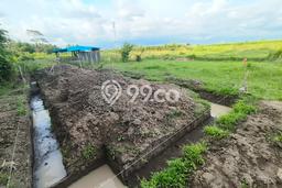 Tanah Kosong Dijual di Gianyar dengan Area 200m2 Tanah Kosong Dijual di Gianyar dengan Area 200m2