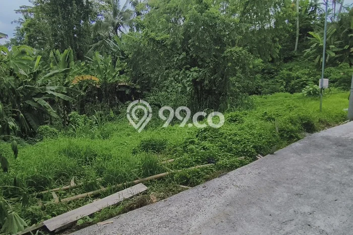 Kavling Tanah untuk Dijual di Pejeng, Gianyar, Luas 1000m2 Kavling Tanah untuk Dijual di Pejeng, Gianyar, Luas 1000m2