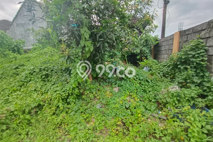 LOKASI STRATEGIS! Tanah Kawasan , Luas 1200m2m², Kawasan Berkembang, Cocok untuk Hunian LOKASI STRATEGIS! Tanah Kawasan , Luas 1200m2m², Kawasan Berkembang, Cocok untuk Hunian