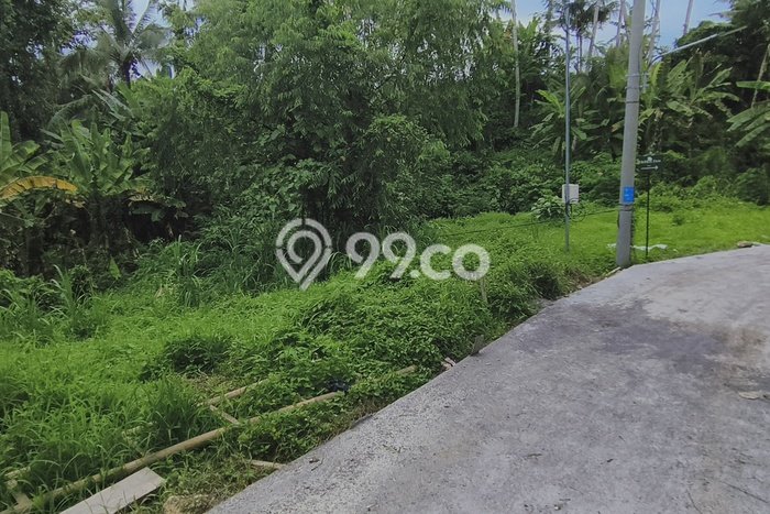 Kavling Tanah untuk Dijual di Pejeng, Gianyar, Luas 1000m2 Kavling Tanah untuk Dijual di Pejeng, Gianyar, Luas 1000m2