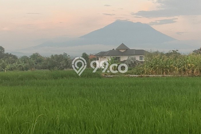 Untuk Dijual Tanah di Sukawati Gianyar Luas 200m2 SHM Untuk Dijual Tanah di Sukawati Gianyar Luas 200m2 SHM