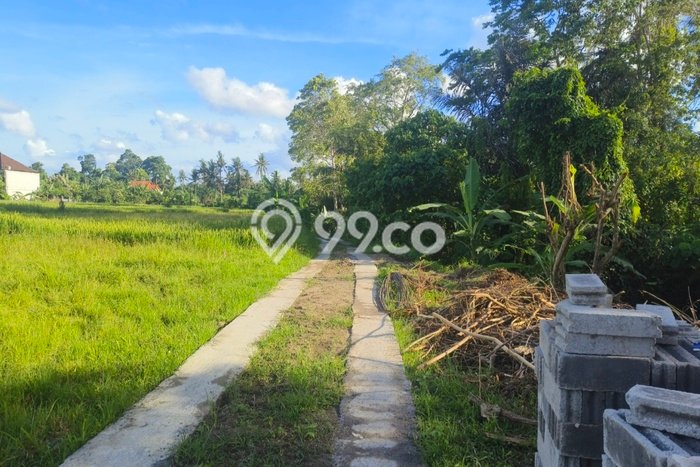 Untuk Dijual Tanah di Sukawati Gianyar Luas 200m2 SHM Untuk Dijual Tanah di Sukawati Gianyar Luas 200m2 SHM