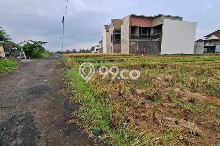 Kavling Tanah Disewakan di Tabanan Tabanan Luas 100m2 Strategis Kavling Tanah Disewakan di Tabanan Tabanan Luas 100m2 Strategis