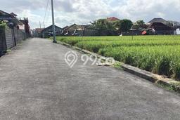 Sewa Tanah Kawasan Umalas, Luas 100000m², Area Potensial Sewa Tanah Kawasan Umalas, Luas 100000m², Area Potensial