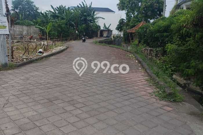 Tanah Disewa Strategis di Badung Luas 900m2 Tanah Disewa Strategis di Badung Luas 900m2