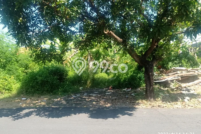 Tanah Dijual di Badung Seluas 20400m2 Strategis Tanah Dijual di Badung Seluas 20400m2 Strategis