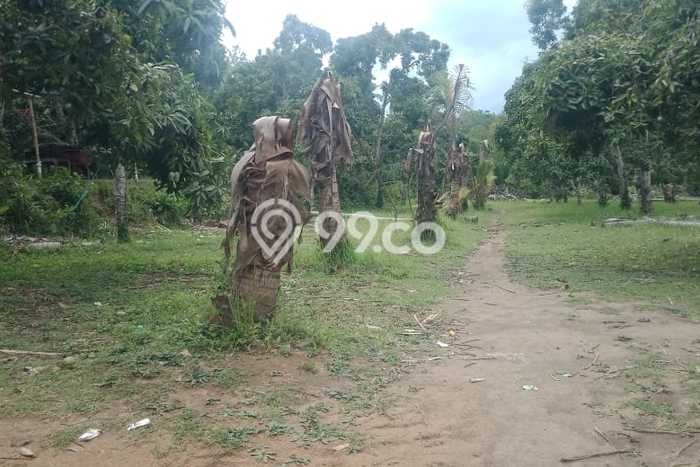 Lahan Dijual Lokasi Strategis di Buleleng dengan Luas 7225m2 Lahan Dijual Lokasi Strategis di Buleleng dengan Luas 7225m2