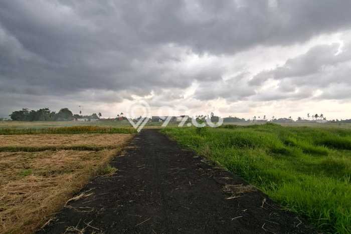Tanah Kavling untuk Disewa di Mengwi Badung 200m2 Tanah Kavling untuk Disewa di Mengwi Badung 200m2