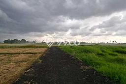 Untuk Disewa Tanah di Mengwi Luas 200m2 SHM Untuk Disewa Tanah di Mengwi Luas 200m2 SHM
