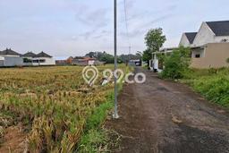 Kavling Tanah Disewakan di Tabanan Tabanan Luas 100m2 Strategis Kavling Tanah Disewakan di Tabanan Tabanan Luas 100m2 Strategis