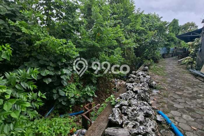 Jarang Ada! Tanah Kavling Disewakan di Badung 2700m2 Jarang Ada! Tanah Kavling Disewakan di Badung 2700m2