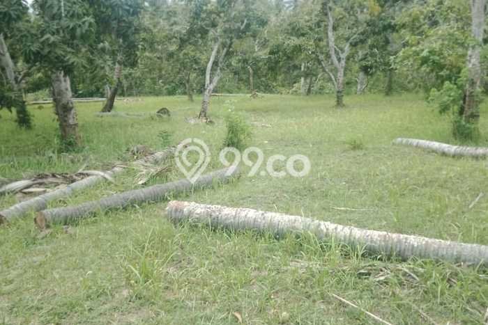 Lahan Dijual Lokasi Strategis di Buleleng dengan Luas 7225m2 Lahan Dijual Lokasi Strategis di Buleleng dengan Luas 7225m2