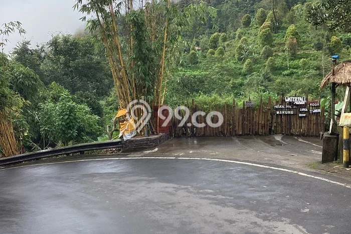 Tanah Dijual Area Strategis di Munduk Buleleng 4300m2 Tanah Dijual Area Strategis di Munduk Buleleng 4300m2