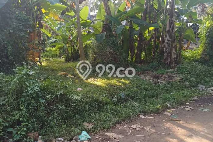 Tanah Disewakan Lokasi Badung Seluas 1005m2 Strategis dan Aman Tanah Disewakan Lokasi Badung Seluas 1005m2 Strategis dan Aman