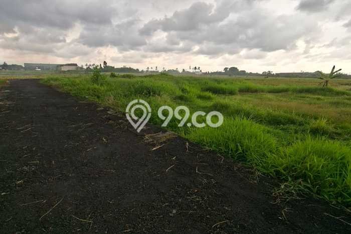 Tanah Kavling untuk Disewa di Mengwi Badung 200m2 Tanah Kavling untuk Disewa di Mengwi Badung 200m2