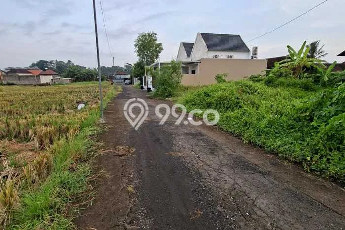 Kavling Tanah Disewakan di Tabanan Tabanan Luas 100m2 Strategis Kavling Tanah Disewakan di Tabanan Tabanan Luas 100m2 Strategis